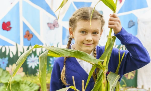 Whitkirk - Allotment - 2024 (3)